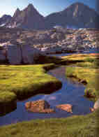 Upper_Dusy_Kings_Canyon